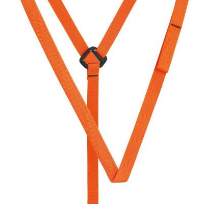 C026aa torse lowres